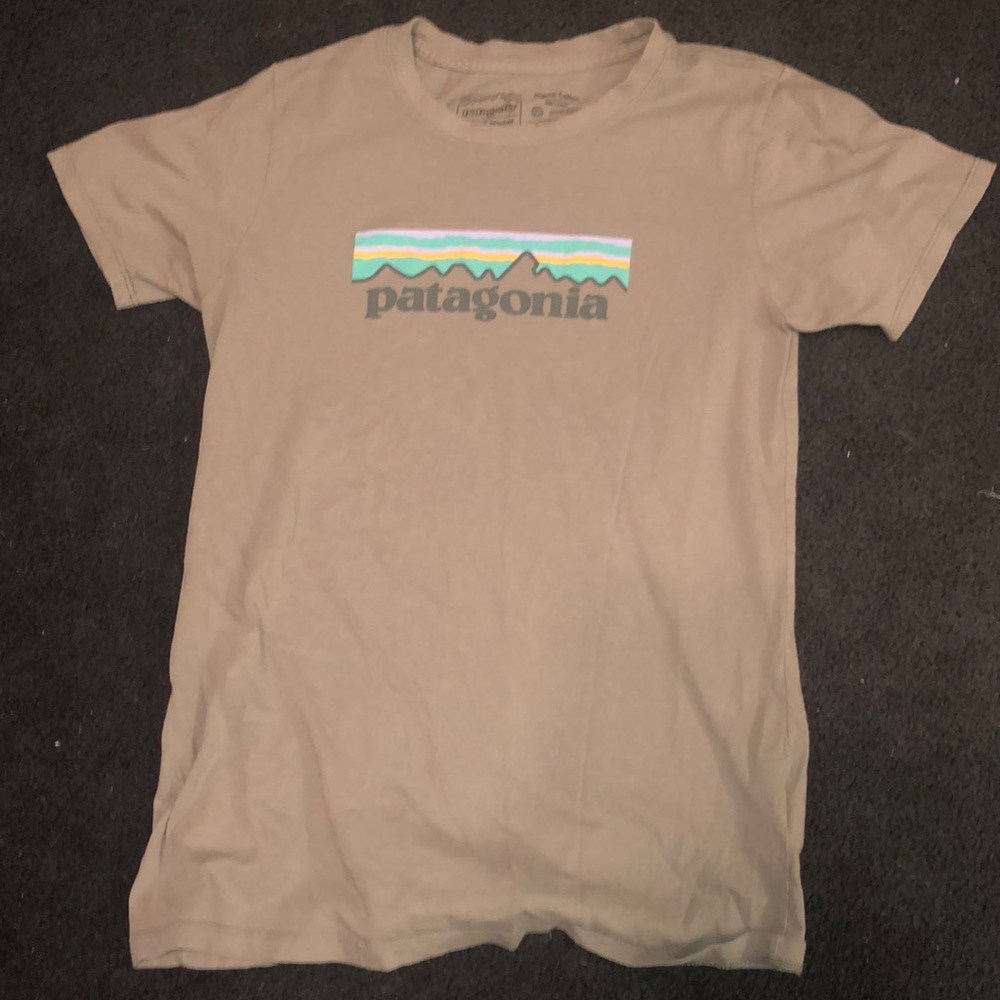 patagonia tee shirt